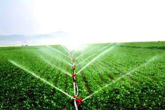 Irrigation And Drainage