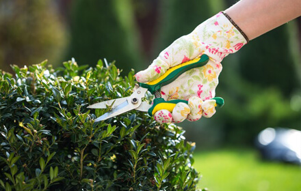 Let's Move With Blog